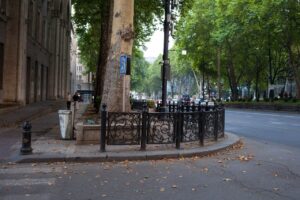 Тбилиси завален сухими листьями платанов. Еще же не осень, что происходит?