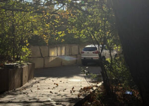 Солнце и тепло пока не будут покидать Тбилиси