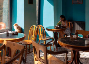 Вся выручка — на помощь животным. Мы поговорили с основателями кафе, которые тратят прибыль на котиков