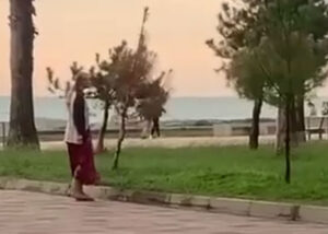 Видео, где женщины в Батуми пинают бездомных собак и кидают в них камни, опубликовали в соцсетях. МВД начало проверку